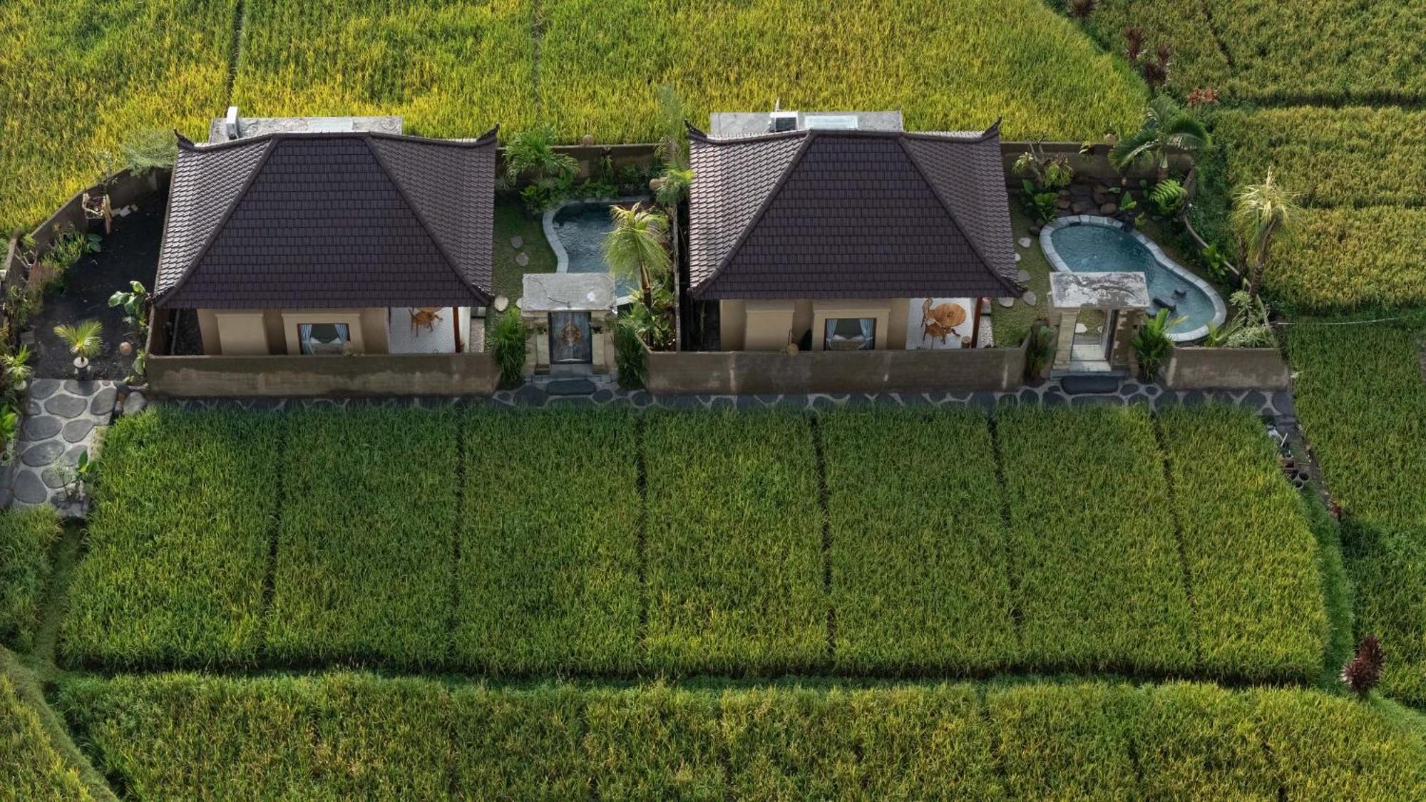 Sawah Sebatu Villa Ubud  Ngoại thất bức ảnh
