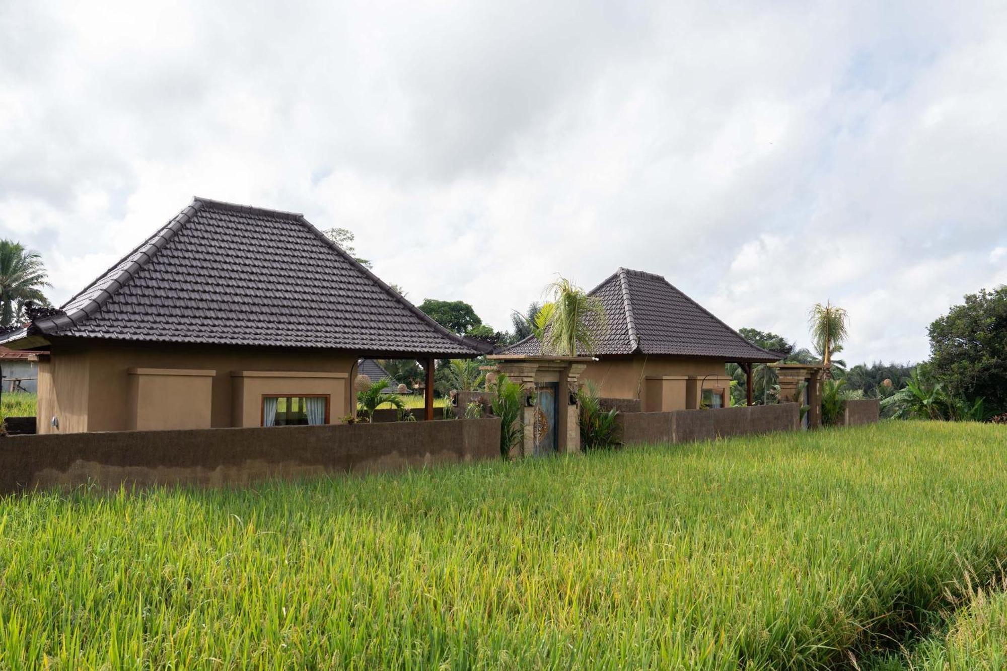 Sawah Sebatu Villa Ubud  Ngoại thất bức ảnh
