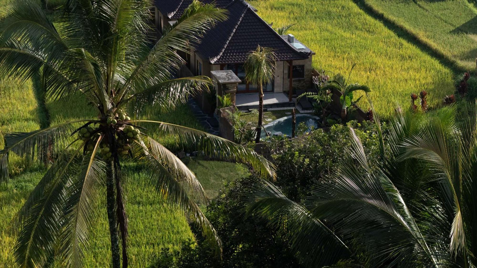 Sawah Sebatu Villa Ubud  Ngoại thất bức ảnh