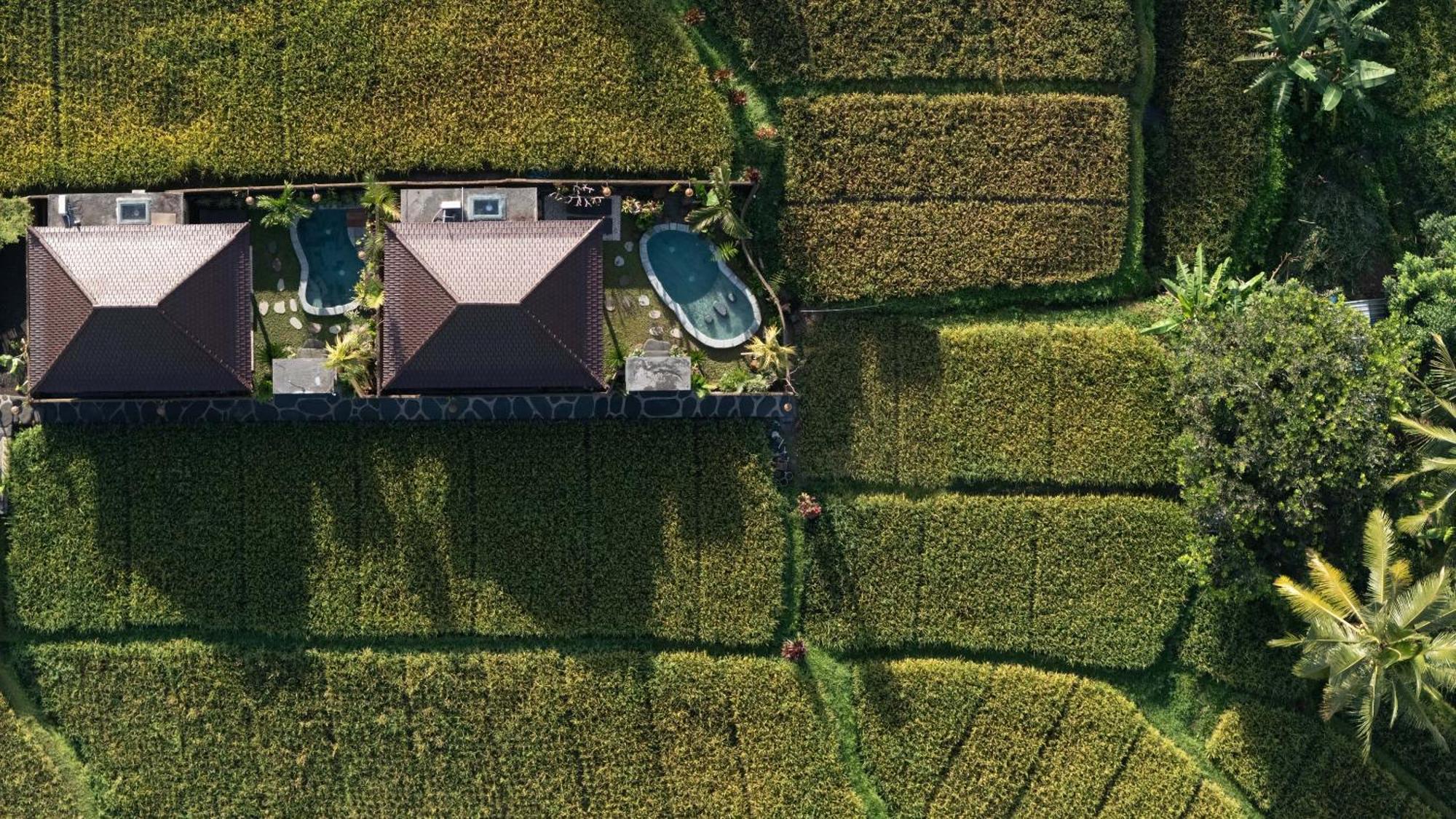 Sawah Sebatu Villa Ubud  Ngoại thất bức ảnh